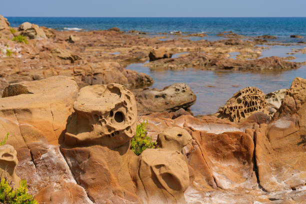 Close-up of eroded coastal rocks featuring intricate natural patterns and holes, set against a backdrop of the sea. The unique formations highlight the geological beauty of the shoreline