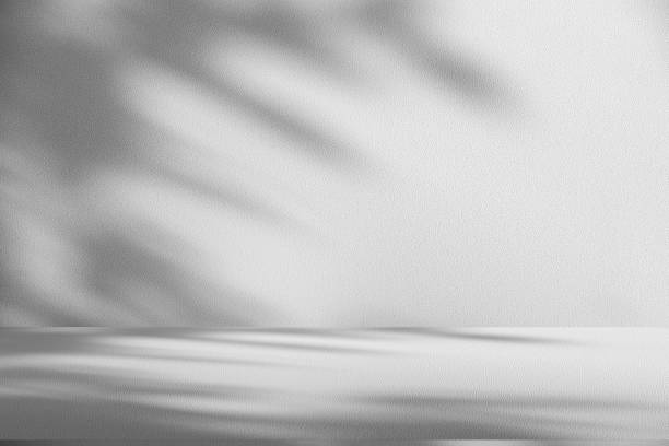 istock Studio style background wall decoration presentation uses white tones. with shadows cast from a nearby window, concept creating a decorative backdrop. 2173462788