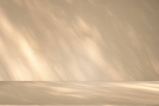 istock Studio style background wall decoration presentation uses white and beige tones. with shadows cast from a nearby window, concept creating a decorative 2173462831