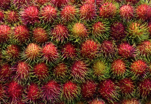 A bunch rambutan, a typical fruit from ASEAN Countries