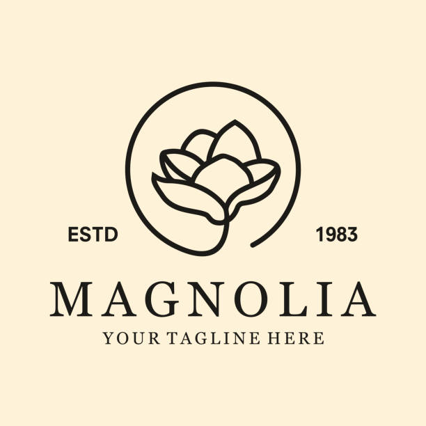 ilustraciones, imágenes clip art, dibujos animados e iconos de stock de ilustración de plantilla vectorial de magnolia de logotipo vintage - cabeza de flor