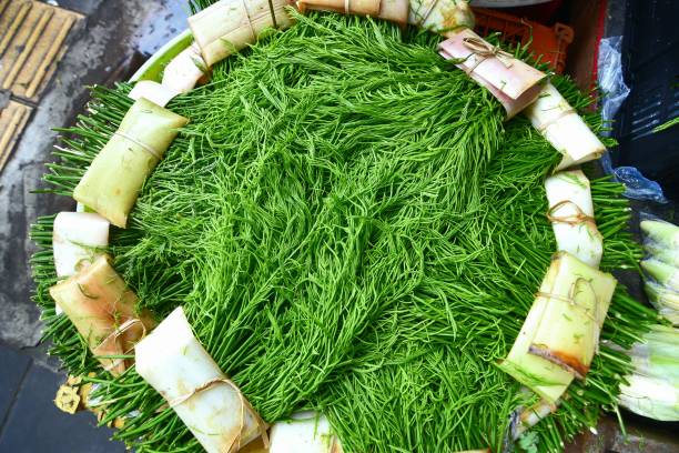 Fresh Acacia leaf vegetable - Bangkok Fresh Market.
