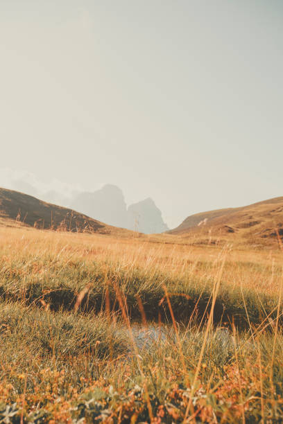 Morning light on mountains and meadow, Dolomites