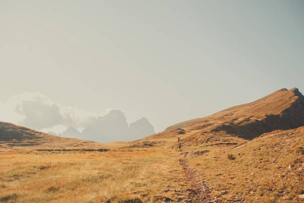 istock Footpath leading across mountain meadow 2173471118