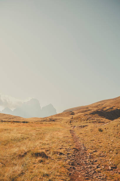 istock Footpath leading across mountain meadow 2173471131