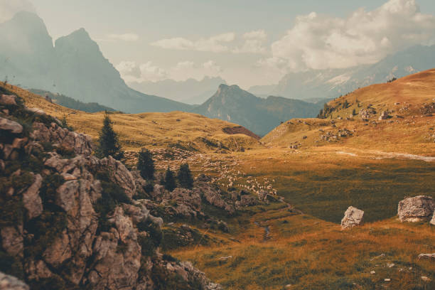 istock Morning light on mountains and meadow, Dolomites 2173471140