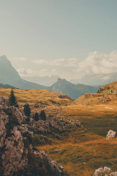 istock Morning light on mountains and meadow, Dolomites 2173471155