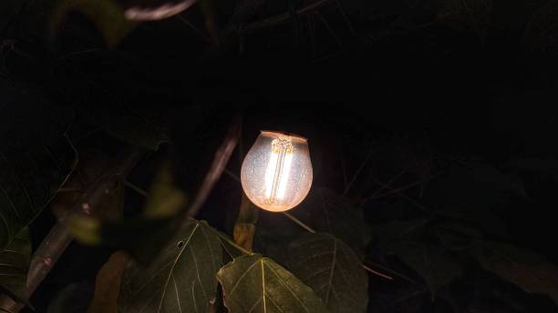 istock photo of lights at night 2173474732