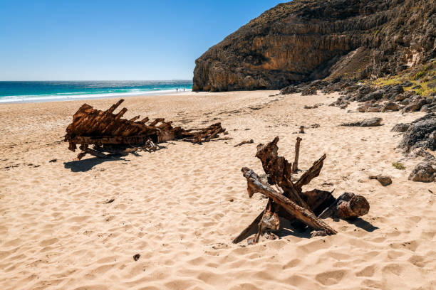 istock Ethel Wreck Beach on a bright day, South Australia 2173476938