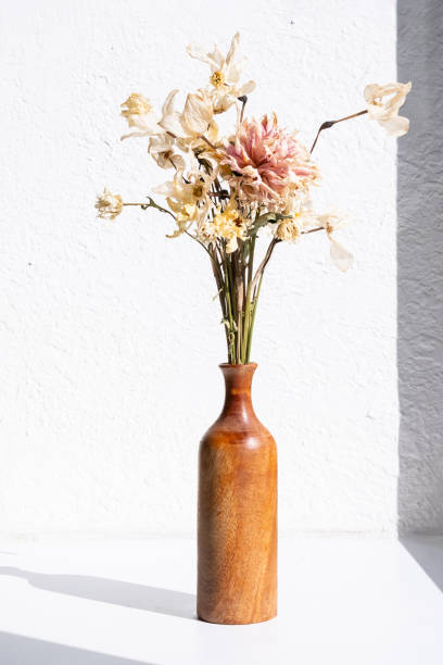 istock Dried flowers in brown vase casting a shadow on white textured wall. 2173477590