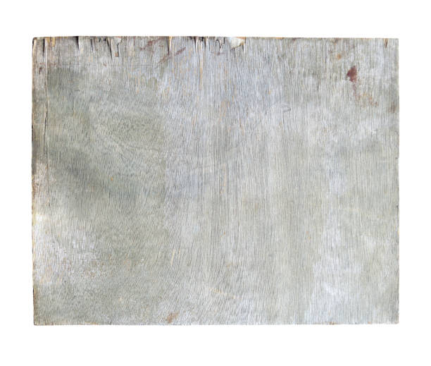 Blank empty torn peeling off rough scuffed old damaged ruined wooden plywood board sheet in brown grey color that is old and rusty and weathered. Serves as an empty blank rustic background, backdrop with no text, no people.