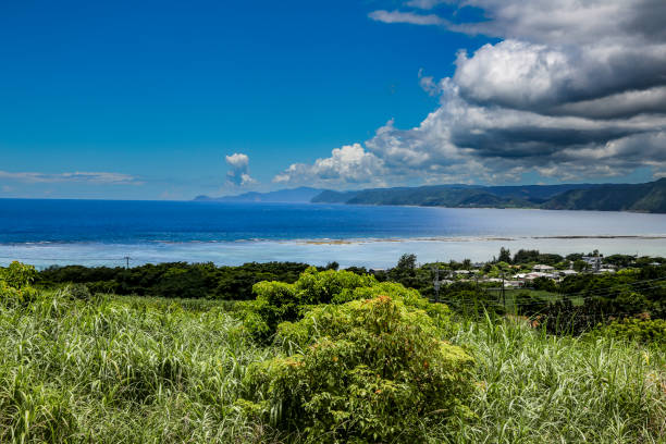 istock Scenery of Amami Oshima 2173481367