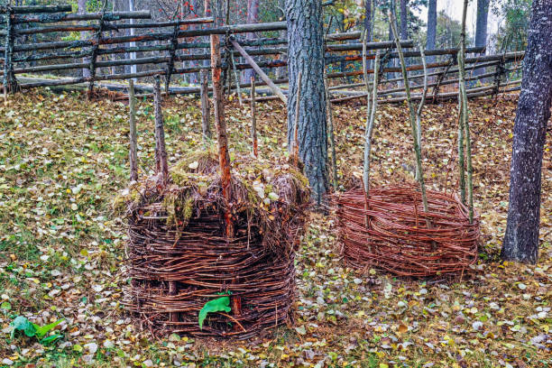 istock Compost baskets of branches in a garden at autumn 2173482282