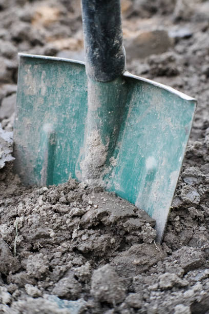 istock Working in the garden, digging the ground with a shovel. 2173482317