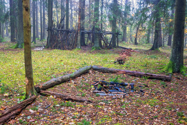 istock Barbecue site in a spruce forest by a hut in autumn 2173482350