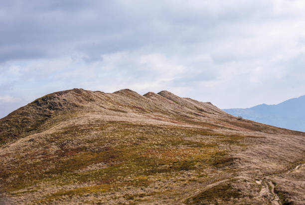 Bieszczady landscape on a sunny autumn morning. Połoniny typical of these mountains.