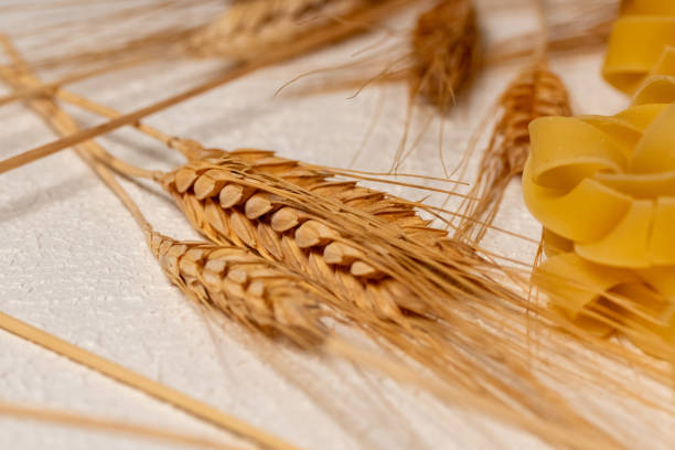 Wheat stems,on white background.