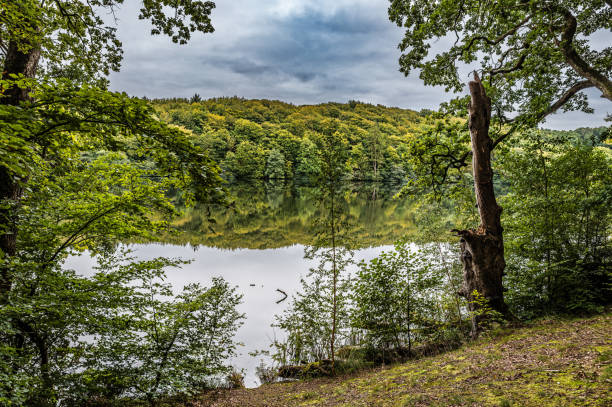 istock Hald lake in Dollerup hills in Denmark 2173501631