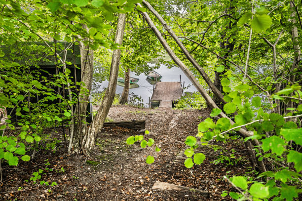 istock Hald lake in Dollerup hills in Denmark 2173501641
