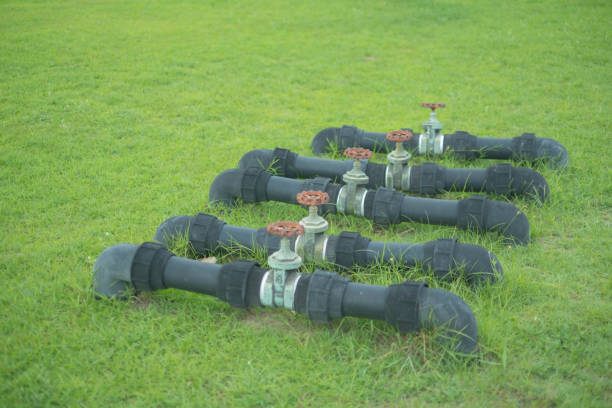 The water pipe is in the lawn.
