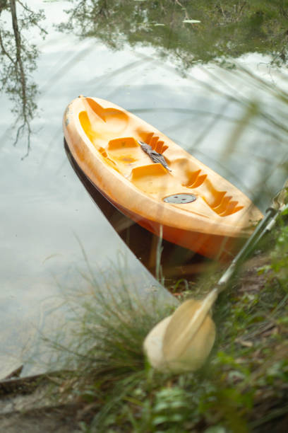 istock A kayak parked by tourists to explore the forest. 2173502260