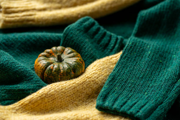 istock Orange pumpkin near a stack of knitted sweaters on a knitted blanket 2173502448