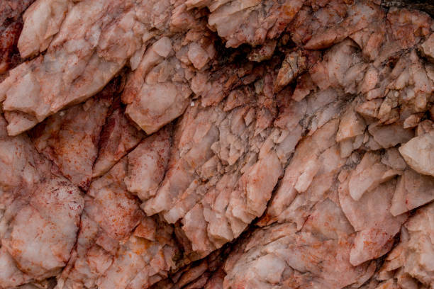 small sea stone pebble background. Multicolored abstract