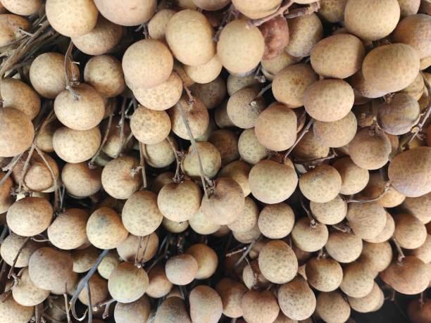 Focus on tropical local fruit - 'longan' (dragon eye fruit) display in Asian market