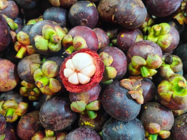 istock Tropical Fruits 2173515661
