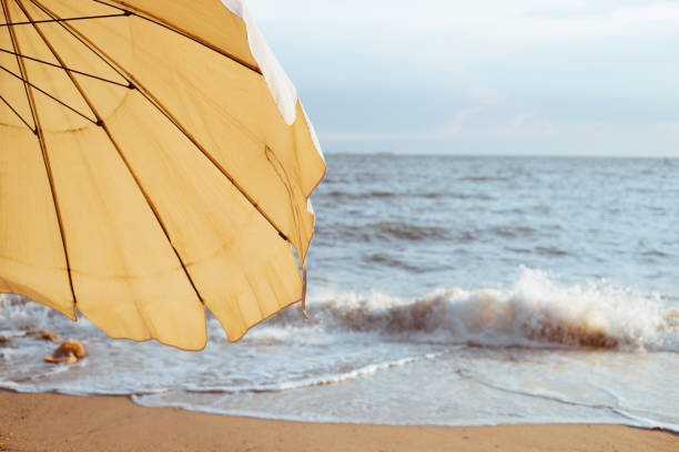 Relaxing on the beach. A yellow beach umbrellas on a sandy beach at sunset.