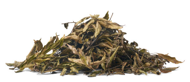 istock pile of drying curry leaves isolated white 2173522581