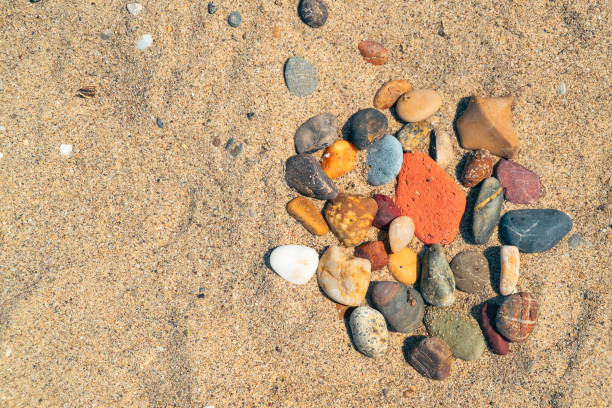 Close up on hands holding sand with seashells on the beach.