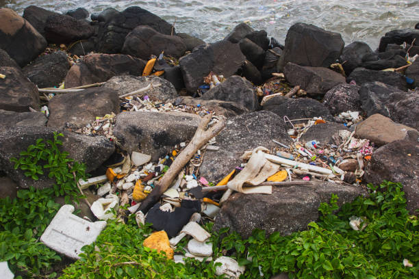 Ecological issue. The ocean beach full of trash. Global warming