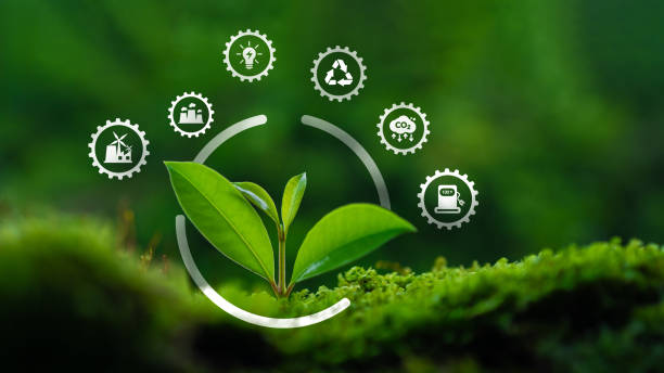 istock Net Zero Greenhouse Gas Emissions and Carbon Neutrality Concept with icons Net Zero Greenhouse Gas Emissions on Growing Sapling for Greenhouse Gas Emission Target Long Term Greenhouse Gas Neutrality Strategy on Green Forest Background 2173530236