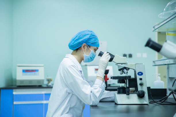 istock Medical researchers in the lab 2173532611