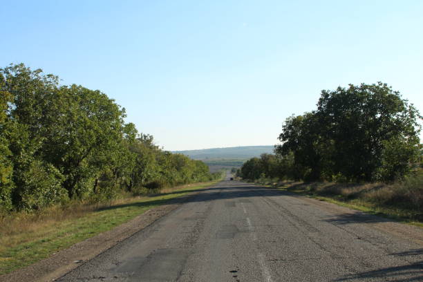istock A road with trees on the side 2173534684