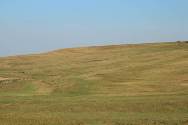 istock A grassy field with a blue sky 2173534726