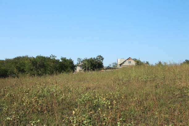 istock A field of grass 2173534886