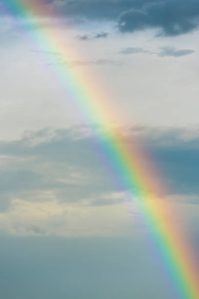 istock Colorful rainbow in the evening sky after rain 2173535338