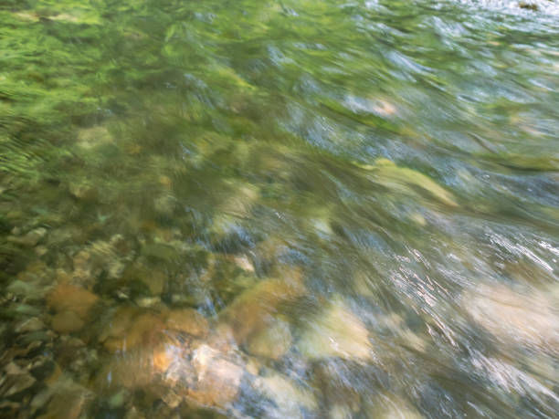 istock The river, with its rapid flow and majestic cliffs, creates a breathtaking landscape, reflecting the strength and beauty of the wild nature 2173536881