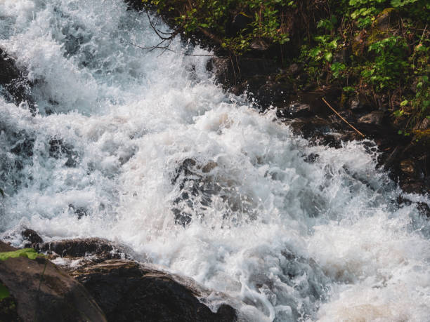 istock A mountain river with a rapid flow: a mesmerizing stream of water, framed by picturesque mountain landscapes and green slopes 2173537414