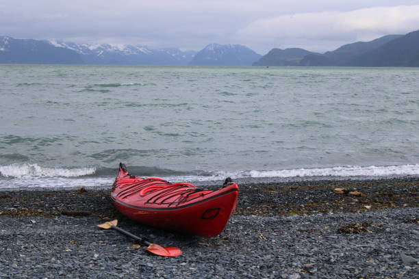 An ocean going Kayaking group returns to the beach after their tour of the Fjords of Seward, AK