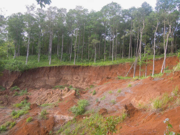 istock Erosion damage and landslides caused by deforestation. 2173548139