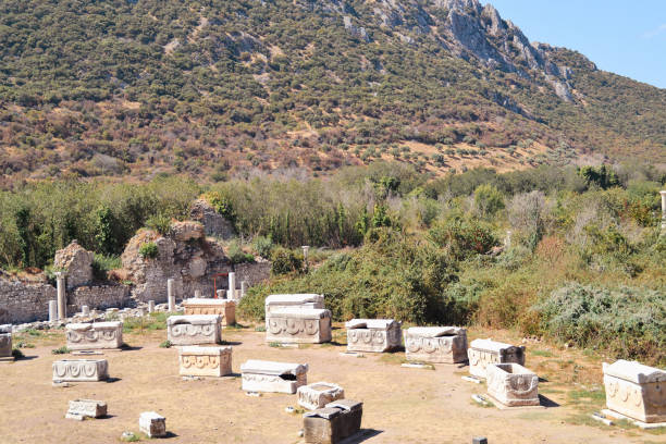 istock Ancient City of Ephesus Izmir 2173550527