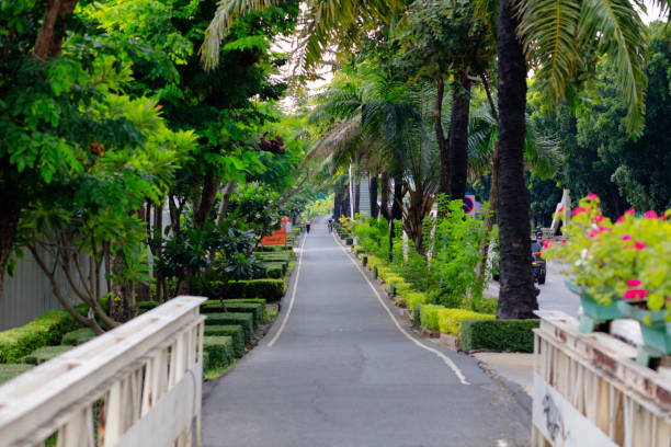 Bicycle lane and pedestrian walkway with trees at and along Pradit Manutham Road in Bangkok Huai Khwang. In foreground is small bridge over a canal/. At right side is traffic on Pradit Manuthaum Road towards south. In far background a woman is walking with mobile phione and a person is cycling with protective face mask
