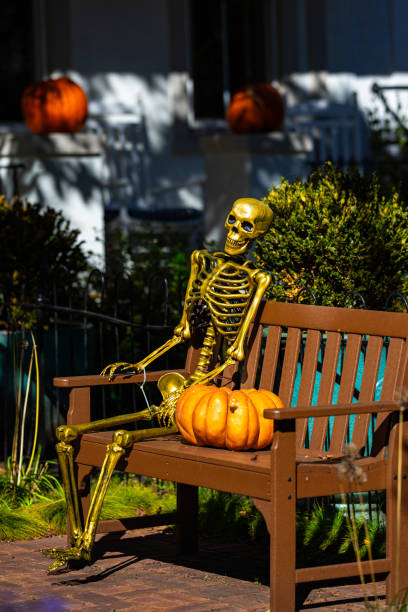istock Halloween skeleton decorations. Halloween skeleton for decorated house. Scary skeleton Decorated at front yard of a American home. Trick or treat. Halloween skeleton background. 2173559541