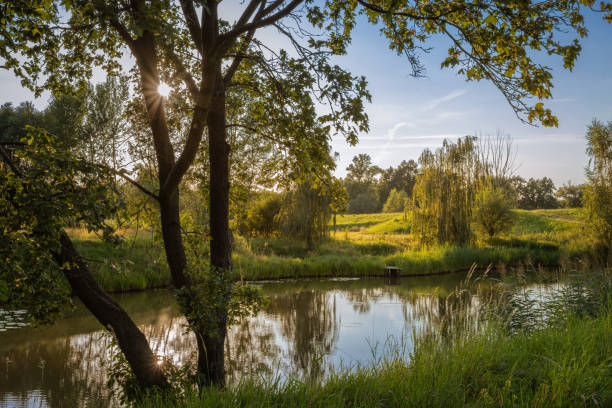 istock Summer afternoon at a small pond. 2173559895