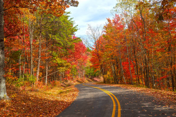 istock Autumn Colors on the Foothills Parkway 2173564782
