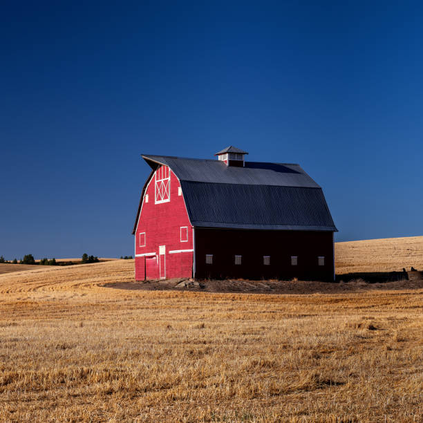 istock Red barn blue sky and golden harvested wheat 2173568384