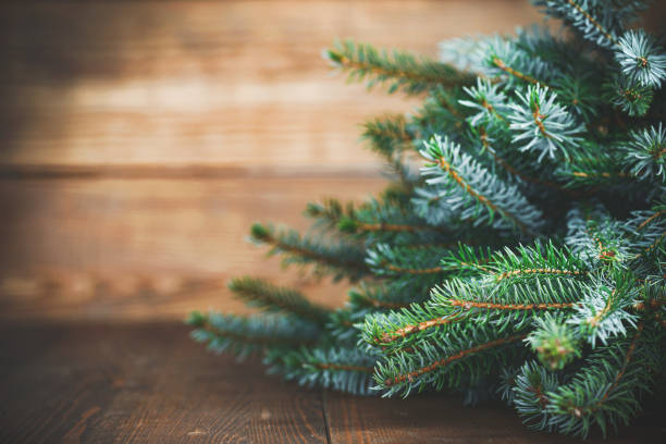 istock Christmas tree on wooden background 2173568709